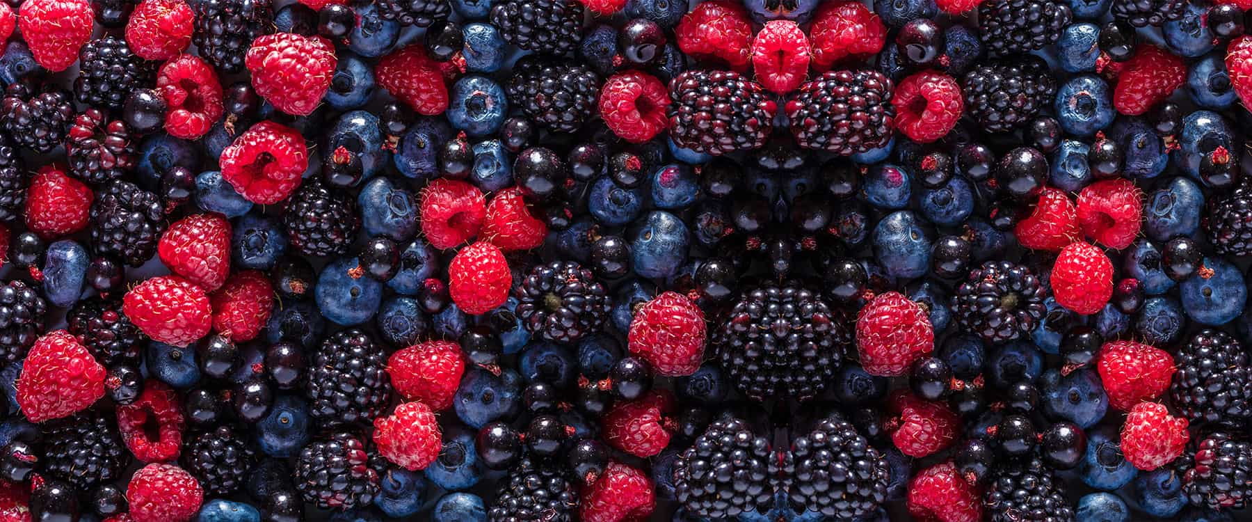 Mixed fresh berries