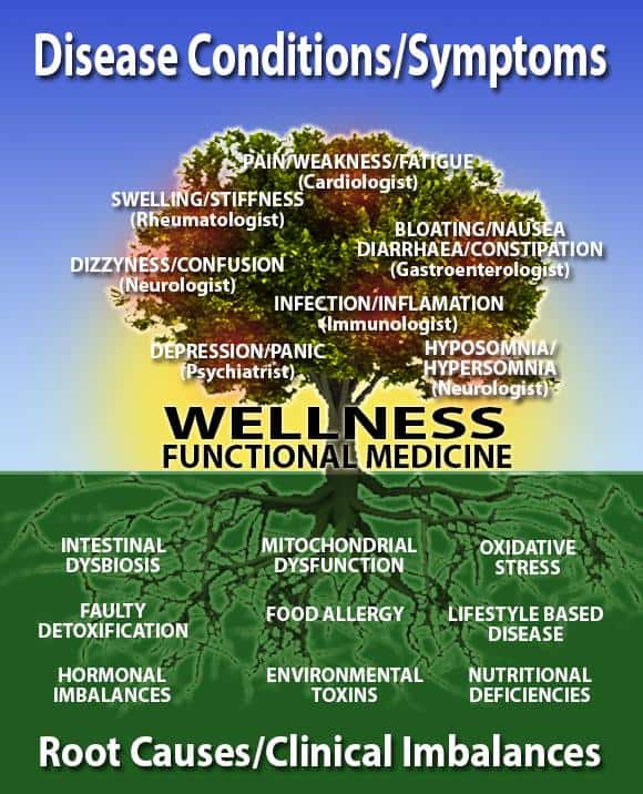 Functional Medicine Practice specialties