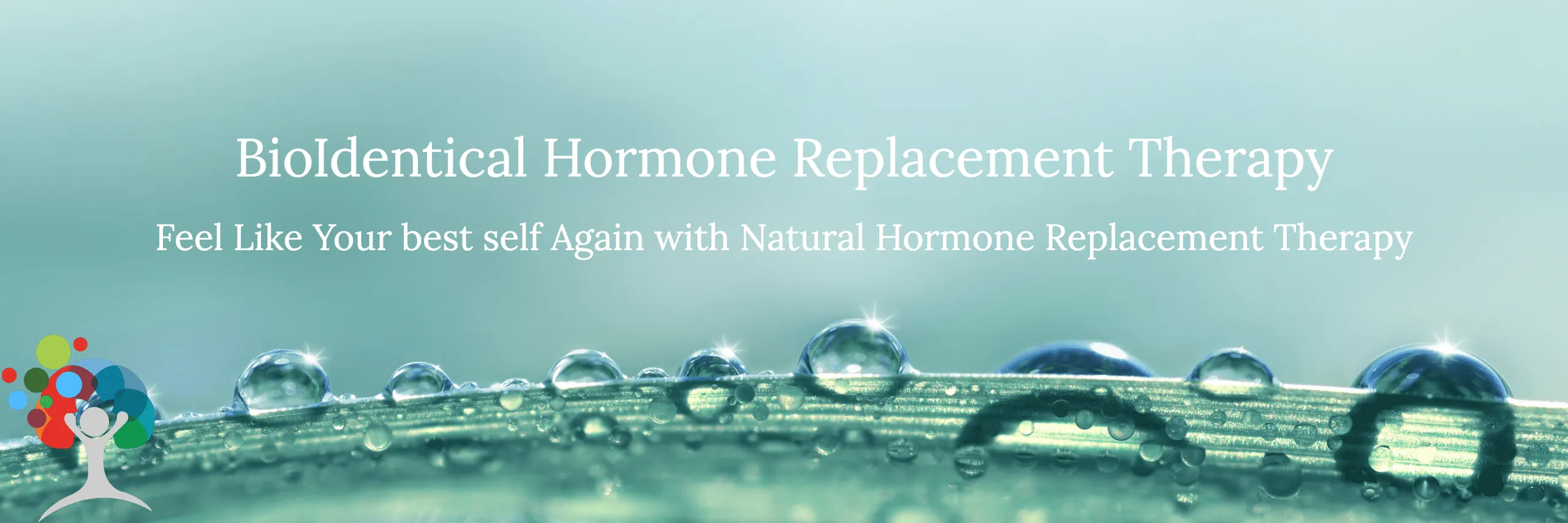 Bioidentical hormone replacement therapy.